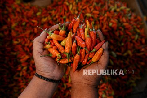 Harga Pangan Hari Ini Cabai Rawit Naik Rp Jadi Rp Per Kg