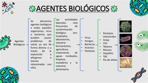 Quais São Os Tipos De Agentes Carcinógenos LIBRAIN