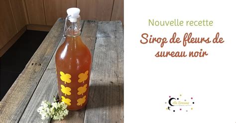 Sirop de fleurs de sureau noir recette naturelle à base de fleurs