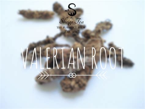 The Truth About Valerian Root Tea And Extract Benefits Shelgo Tea