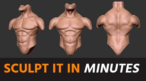 Sculpting Torso In Minutes Zbrush Youtube