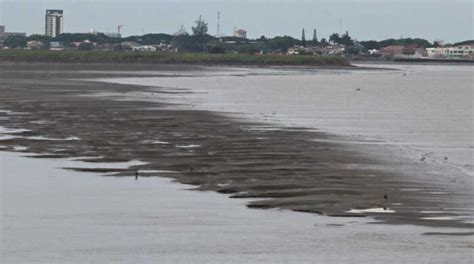 Prefectura Del Guayas Abre Nuevo Proceso Para Dragar Del Islote El