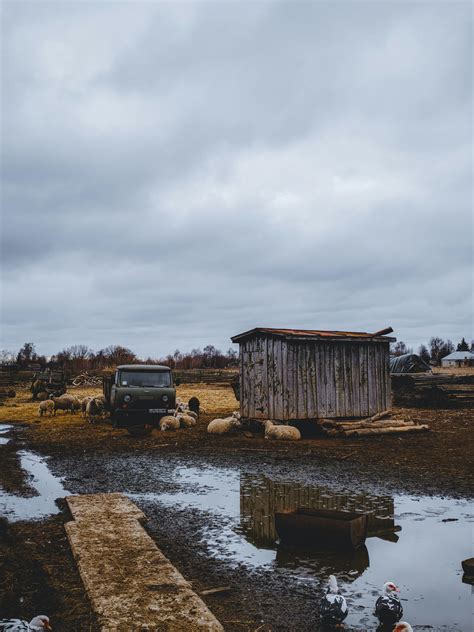 shed       shed stock  hd images