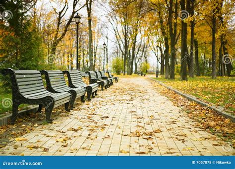 Benches In The Park Stock Photo Image Of Landscape Colours 7057878