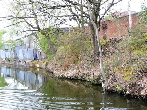 Heron Worcester Birmingham Canal Christine Johnstone Cc By Sa