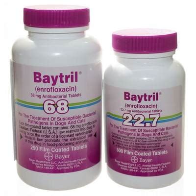 Baytril Film Coated Tablets for Dogs and Cats | VetRxDirect Pharmacy