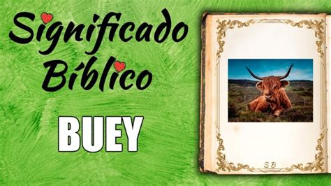 El Buey Como S Mbolo Espiritual Conoce Su Significado Y Su Poder