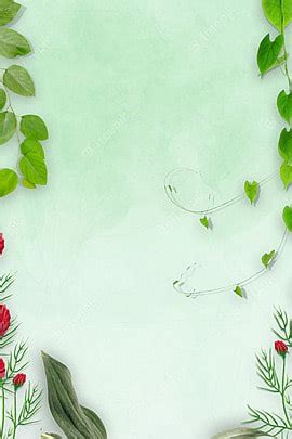 Beautiful Plants Background Wallpaper Image For Free Download - Pngtree