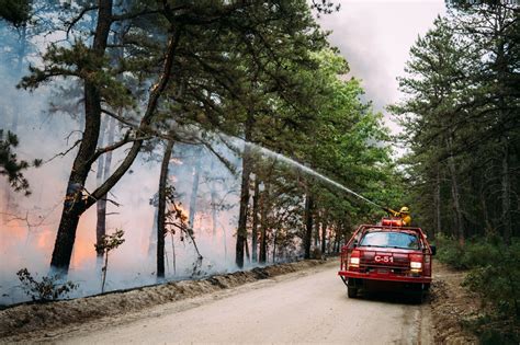 350-acre wildfire burning through N.J. state forest as crews work to ...