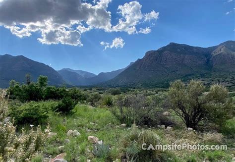 Guadalupe Mountains National Park Campsite Photos Availability Alerts