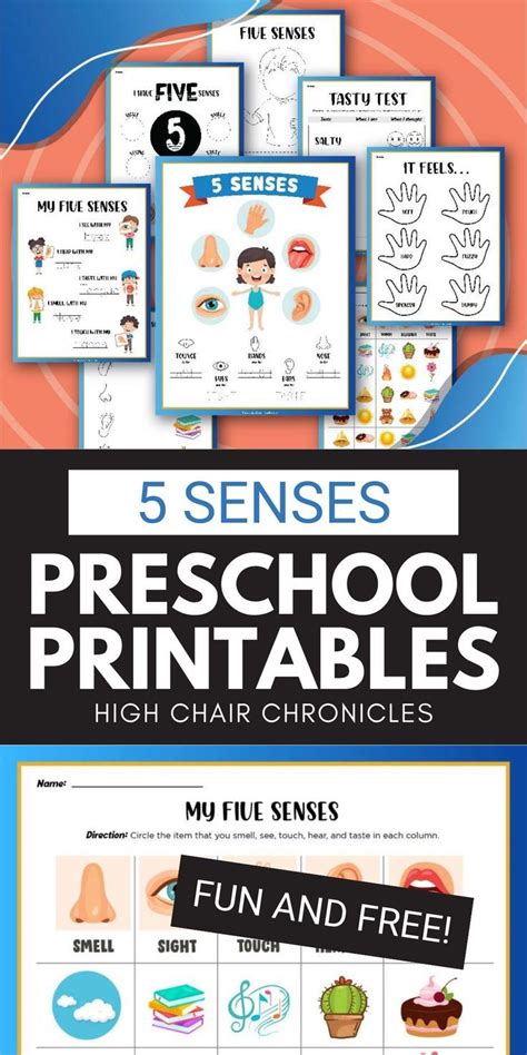 5 Senses Preschool Printables Free