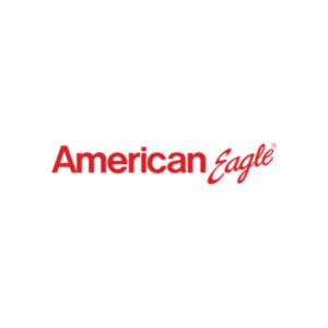 American Eagle Airlines Flight Tickets Booking Farecool