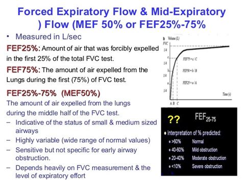 Spirometry Workshop