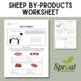 Sheep By Products Worksheet By Sprout In Ag Education TPT