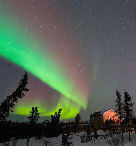 AURORAS BOREALES EN ALASKA - Universal Mayorista de Viajes