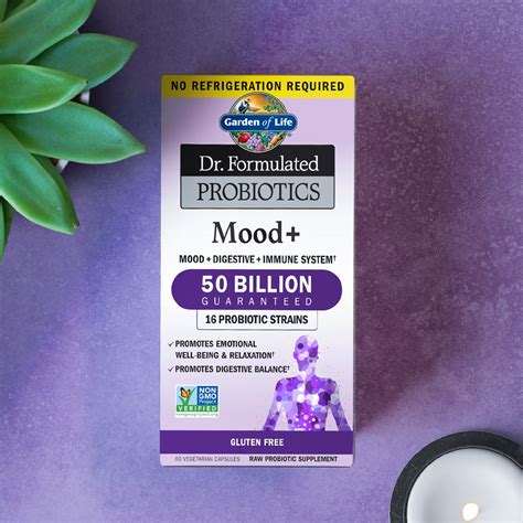 Garden Of Life Dr Formulated Probiotics Mood Acidophilus Probiotic Supplement 60 Veggie Caps