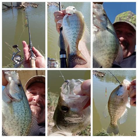 How To Ketch Crappie From The Bank Part