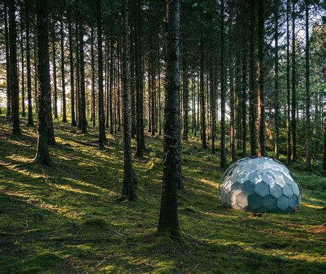 Glamping pods. Clear glamping domes | Hypedome