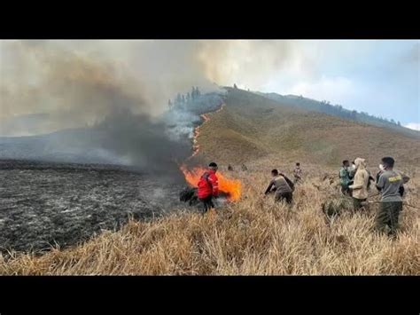 AKIBAT PREWEDDING SAVANA GUNUNG BROMO TERBAKAR TUGAS TEKS EXPLANSI