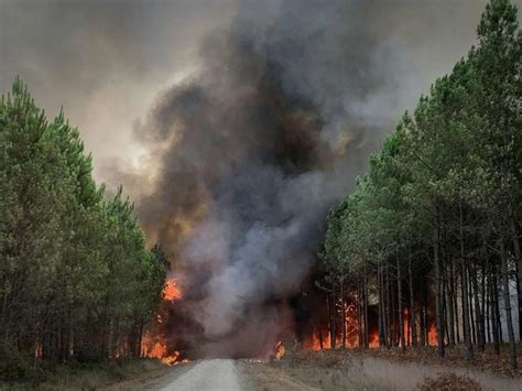 Incendies En Gironde Et Dans Les Landes 6 000 Hectares Brûlés 8 000