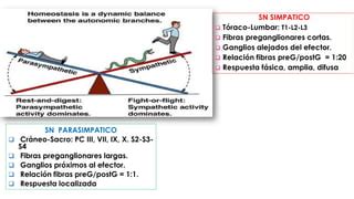 Teorico Sistema Nervioso Autonomo Eutm 2018 Pdf