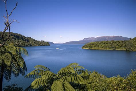 Eco-Tourism in Rotorua and New Zealand - Rotorua Duck Tours