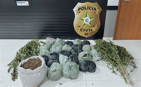 PC Apreende 25 Quilos De Maconha E Prende Dois Homens Suspeitos Por