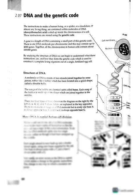 SOLUTION Dna And The Genetic Code Studypool