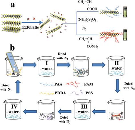 Figure 1 From Layer By Layer Self Assembly Of Polyelectrolyte