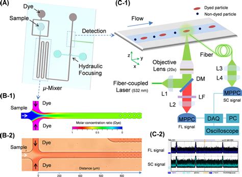 Micro Optofluidic Platform For Real Time Continuous Detection Of