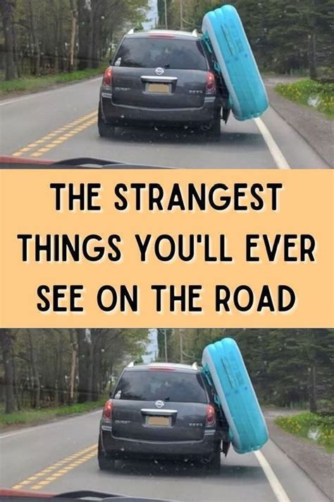 The Strangest Things You Ll Ever See On The Road Artofit