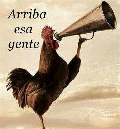 Pin By Elviravi On Frases Graciosas Morning Quotes Funny Funny Good