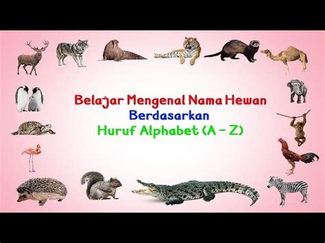 Belajar Mengenal Nama Hewan Dan Suaranya Berdasarkan Huruf Alphabet