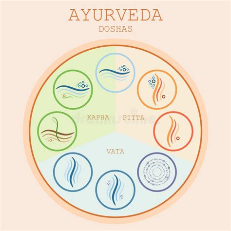 Doshas De Ayurveda Vata Pitta Kapha Ilustración Del Vector