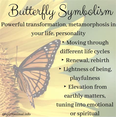 Butterfly Symbolism and Meanings | Transformation Guide