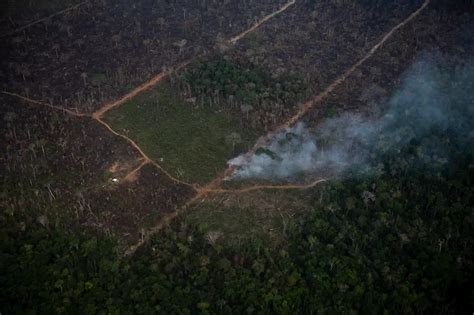 Desmatamento Recorde Derruba Mais A Moral Do Brasil Na COP26 Que Teve