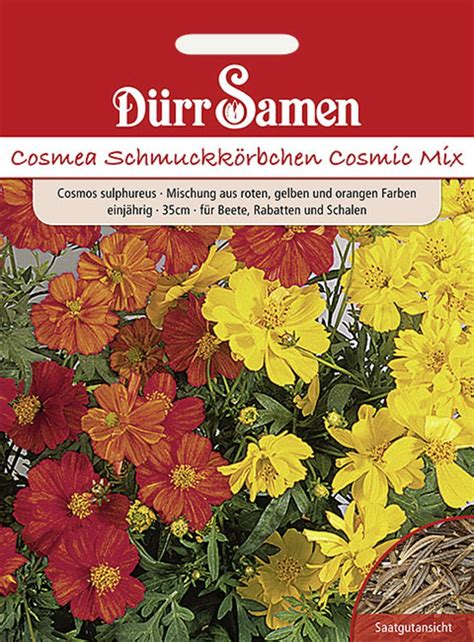 Dürr Samen Cosmea Cosmic Mix 1 Packung Bloomling Schweiz