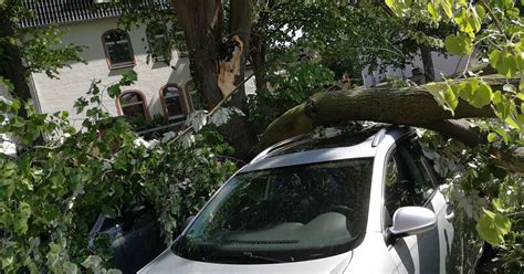 Schwerer Ast bricht von Baum Vier Autos beschädigt Minden