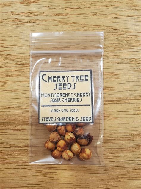 Sour Cherry Tree Seeds 10, 15, or 20 Seeds Sour Cherries Montmorency ...