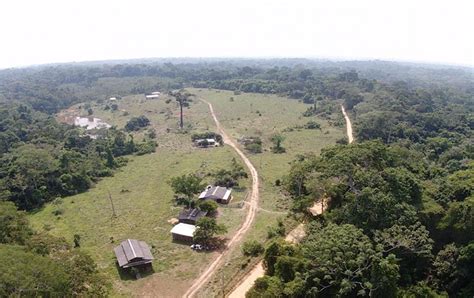 Atendimento Escolar Ser Ampliado Na Reserva Extrativista Chico Mendes