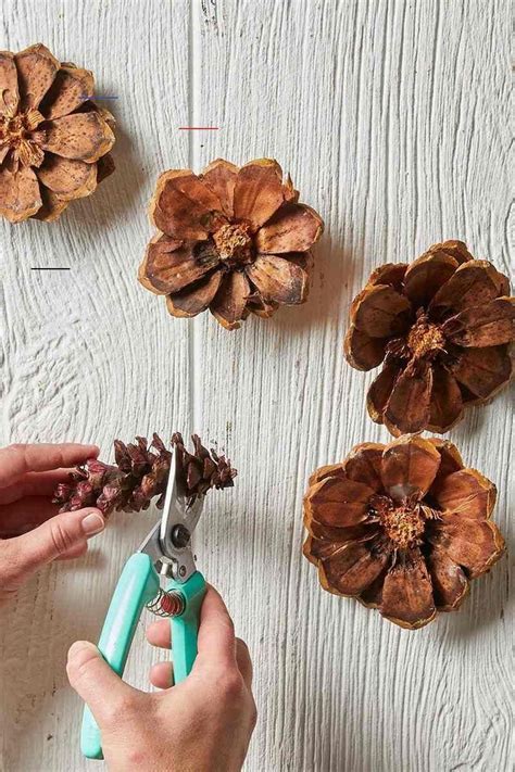 How To Bleach Pine Cones Artofit