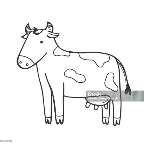 Doodle Vector Hand Draw Sketch Cow Isolated On White Stock Illustration