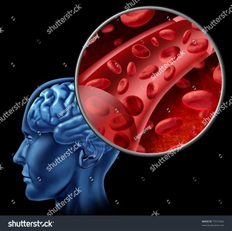 Blood Cells Brain Flowing Through Veins Stock Illustration 73319482