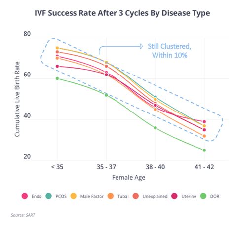 Ivf Success Rates Fertilityiq