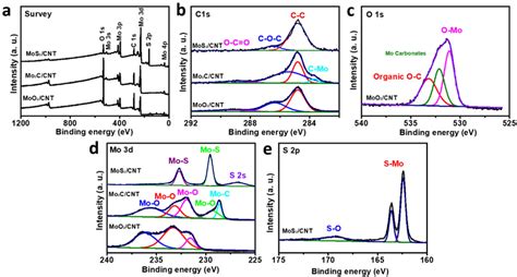 A XPS Survey Scans And B C 1 S Spectra Of The MoO2 CNT Mo2C CNT And