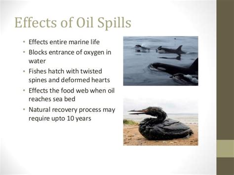 Oil spills prevention