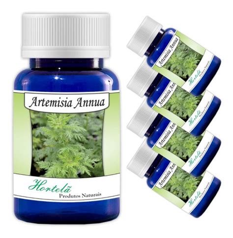 Artemisia Annua Em 60 Cápsulas De 500 Mg Kit 5 Frascos Frete grátis