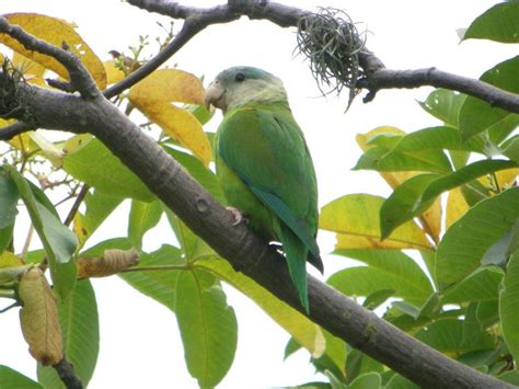 Arenillas Ecological Reserve Alchetron The Free Social Encyclopedia