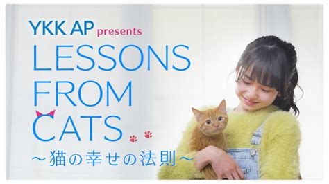 Ykk Ap Presents Lessons From Cats～猫の幸せの法則～bsテレ東の番組情報ページ テレ東・bsテレ東