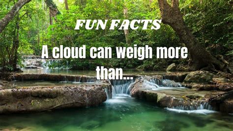 Revealing Fun Facts You Never Knew Youtube